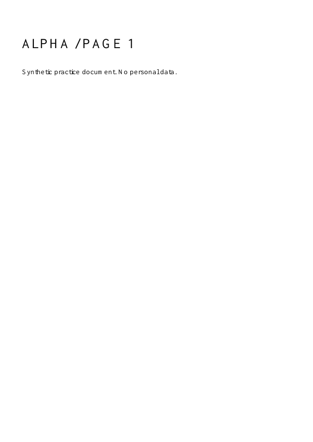 First page of the exact synthetic input