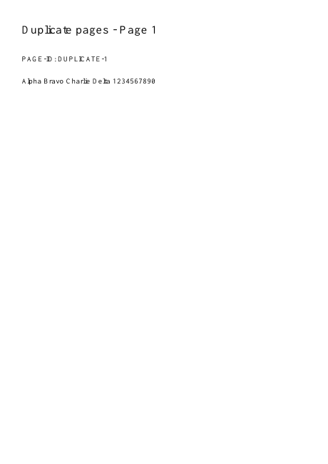 First page of the exact synthetic input