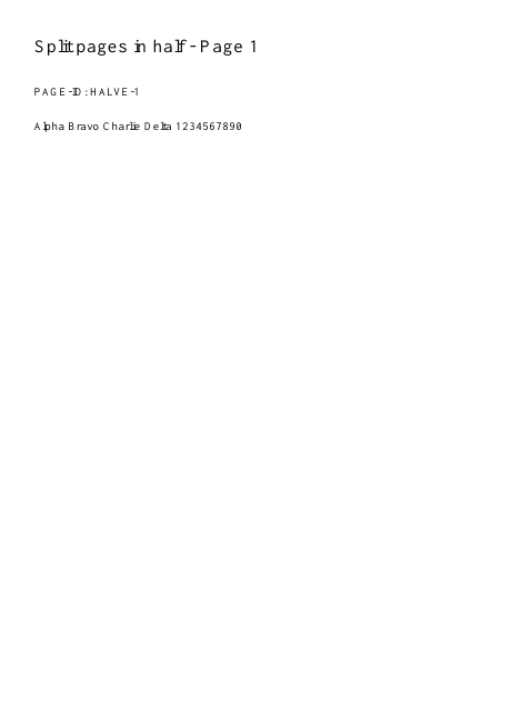 First page of the exact synthetic input